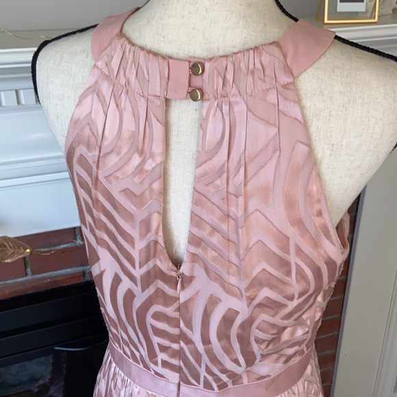 Shoshanna | NWT Blush Gown - Picture 8 of 13